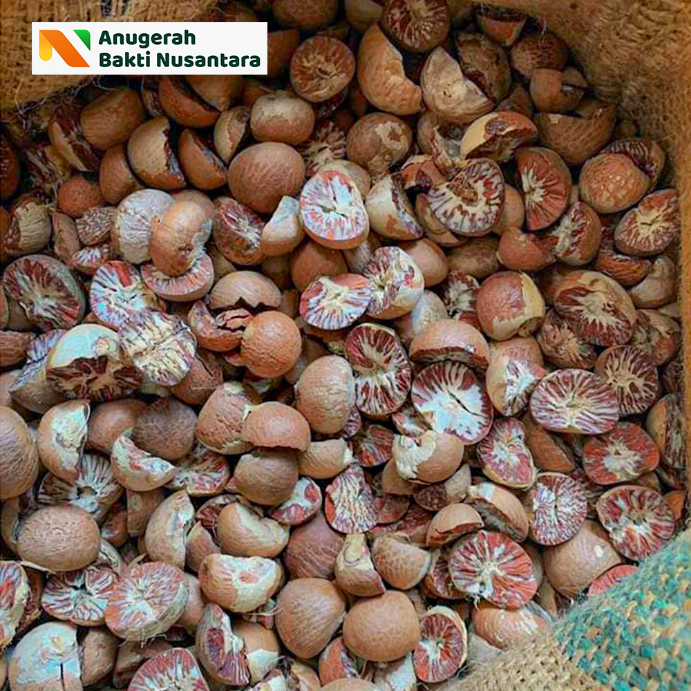 Betel Nut From Sumatera, Indonesia